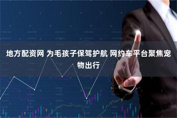 地方配资网 为毛孩子保驾护航 网约车平台聚焦宠物出行