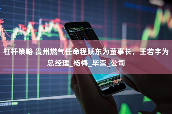 杠杆策略 贵州燃气任命程跃东为董事长，王若宇为总经理_杨梅_毕崇_公司