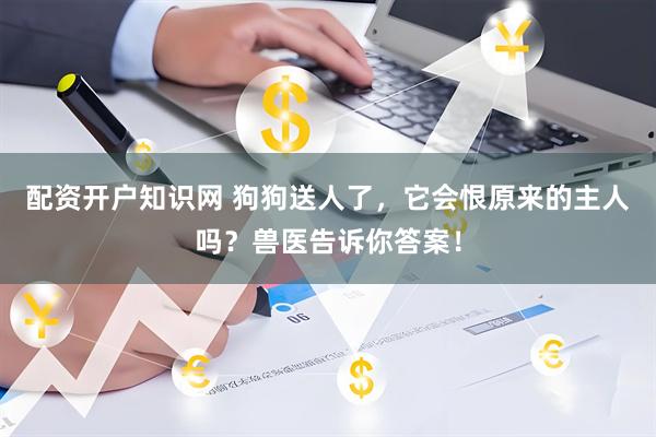 配资开户知识网 狗狗送人了，它会恨原来的主人吗？兽医告诉你答案！