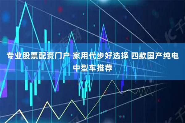 专业股票配资门户 家用代步好选择 四款国产纯电中型车推荐
