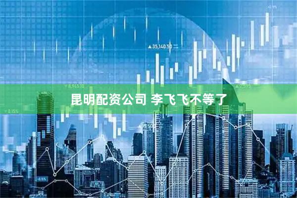 昆明配资公司 李飞飞不等了